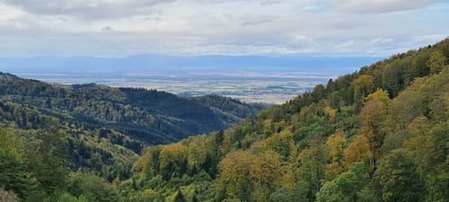 Zum Sonnhaldeeck ab Münstertal