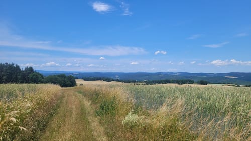 Panoramaweg Schwarzatal Etappe 8: Röderberg - Schwarza