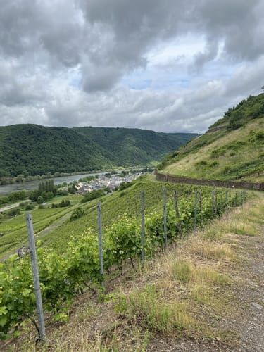 Moselsteig Etappe 17: Ediger-Eller - Beilstein