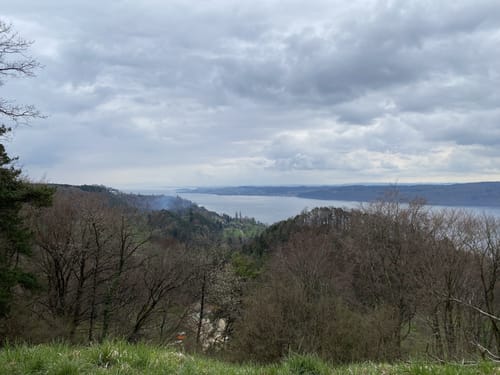 Premiumweg SeeGang Etappe 1: Überlingen - Sipplingen