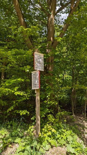 Wolfshagen im Harz - Sommerberg Rundwanderung