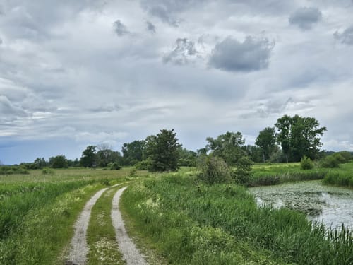Amper zwischen Moosburg und Inkofen