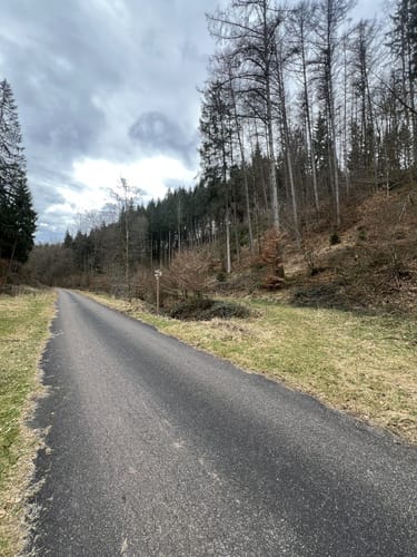 Lemberger Flößertour (Premiumwanderweg)