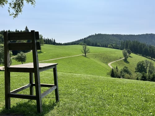 Harmersbacher Vesperweg (Genießerpfad)