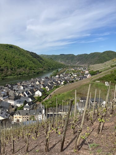 Moselhöhe und Römergräber