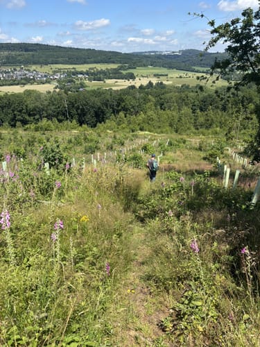 Rothaarsteig-Spur Romantischer Hickengrund