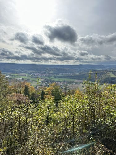 Mainzer Köpfe P12 (Premiumwanderweg)