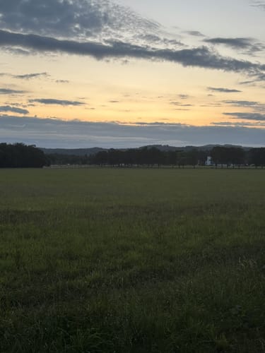 Rheinsteig Unkel - Bad Honnef