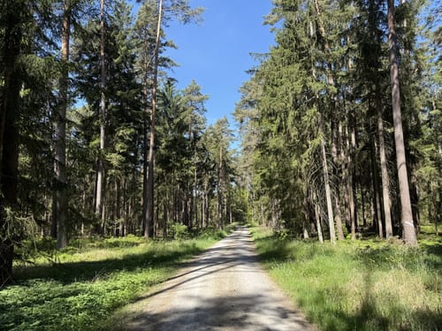 Rund um Unternibert und Sonnensee