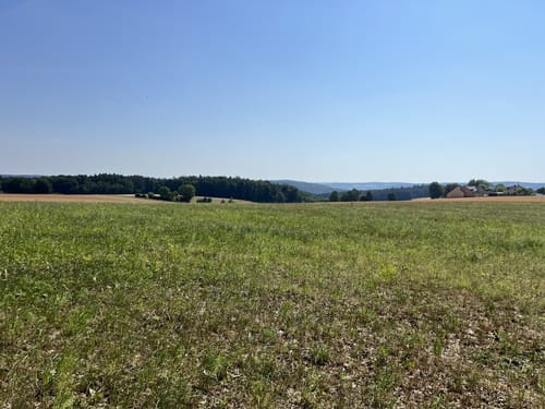 Kelheimer Waldweg