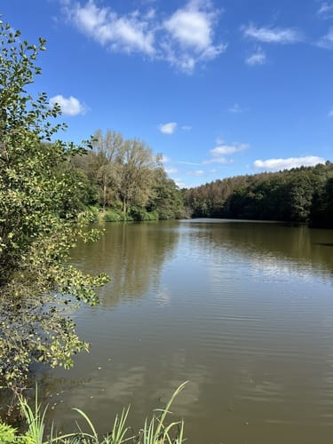 Rund um den Wingertsweiher