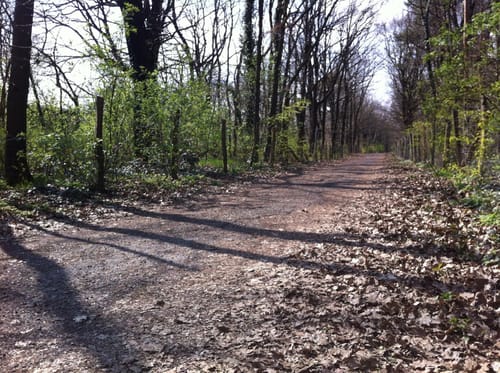Flughafensee - Tegeler See Rundwanderung