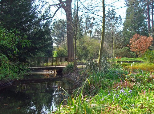 Hofgarten und Botanischer Garten Bonn