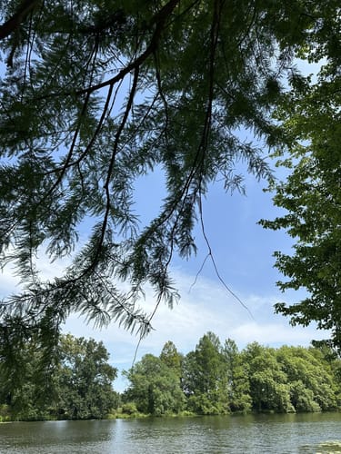 Wörlitzer Park