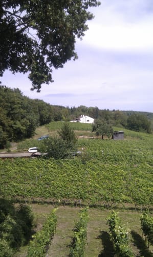Durch das Höllental zur Peterstirn