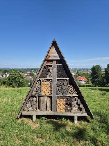 Zunsweiler - Silberköpfe
