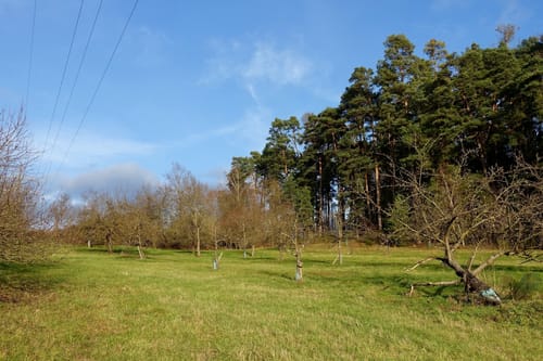 Rundwanderweg Aurachtal