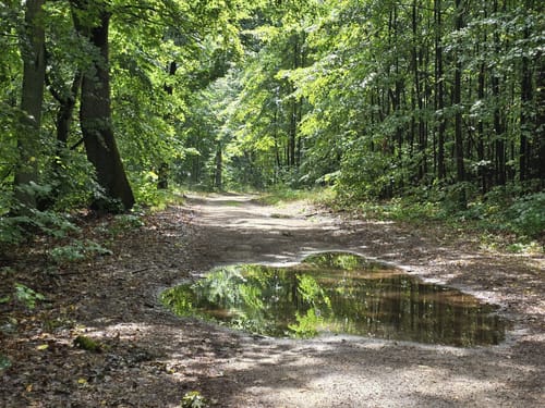 Westlich des Bötzsees