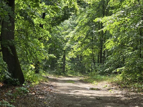 Westlich des Bötzsees