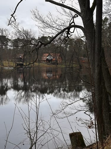 NSG Köthener Heideseen