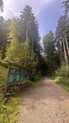 Bannwald Ottobeuren: Deutsche Levada Rundweg von Bannwaldweg