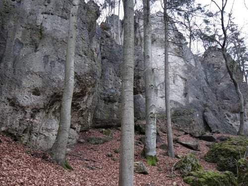 Naturlehrpfad Hiltpoltstein (Rotring)
