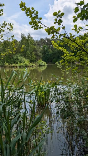 Über die Holmer Sandberge und entlang dem Feuerlöschteich
