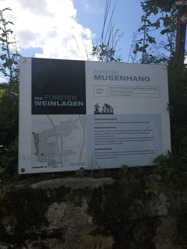 Zur Wachtenburg über Michaelskapelle