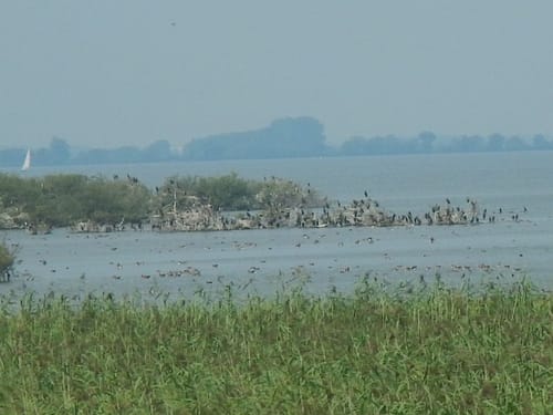 Dümmer-Rund-Tour (27 km)