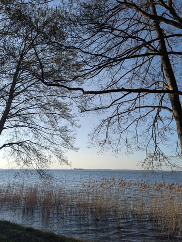 S1 Ufer-Moorwiesenweg (Steinhuder Rundweg)