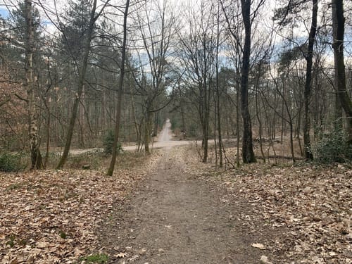 Schwarzer Berg Runde