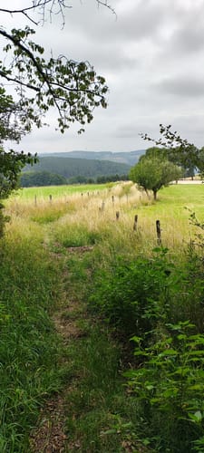 Große Runde bei Brüninghausen