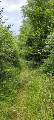 Große Runde bei Brüninghausen