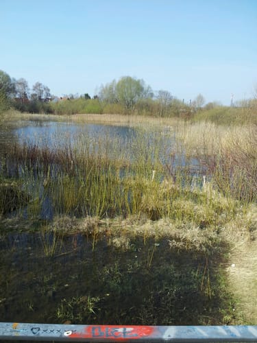 Ahrensfelde Rundweg
