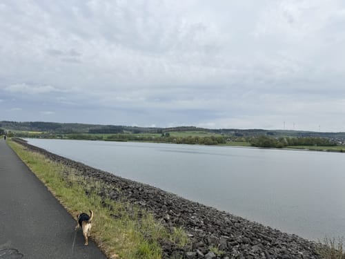 Aartalsee Rundweg