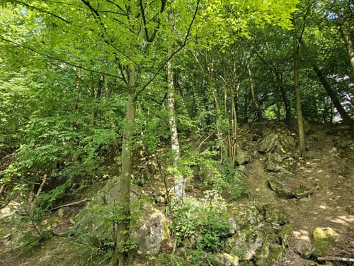 Schlupkothen Rundweg