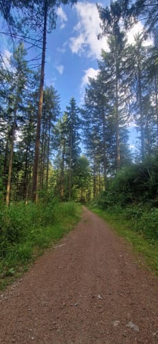 Aussichten ins Wiedtal (Ehlscheid E3)
