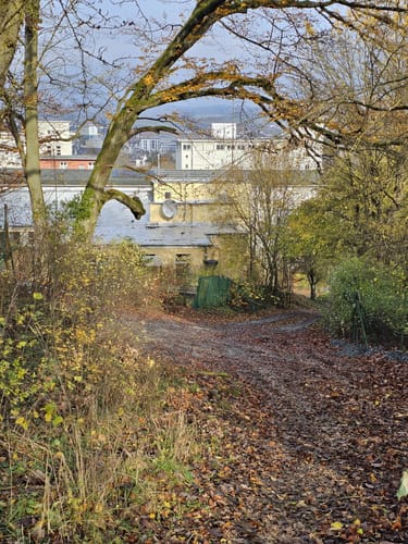 Lahnwanderweg Etappe 11: Wetzlar - Braunfels