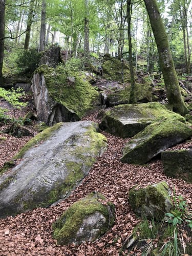 Premiumspazierwanderweg: Felsenmeer