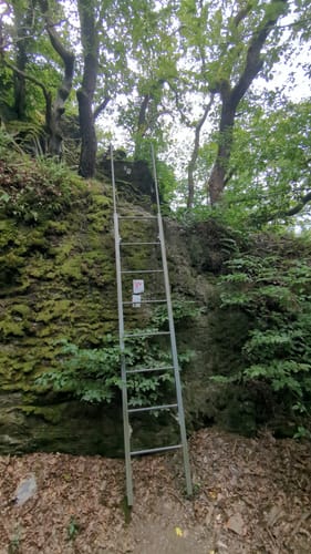 LahnWeinStieg