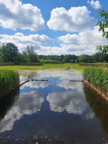 Naturlehrpfad Caßlauer Wiesenteiche