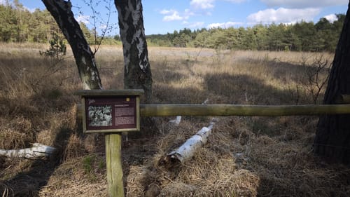 Küstenmoor Rundtour