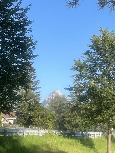 Rund um den Weißensee