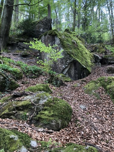 Premiumspazierwanderweg: Felsenmeer