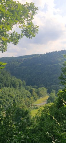 Aussichten ins Wiedtal (Ehlscheid E3)