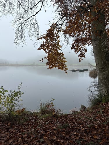 5-Seen-Wanderung um das Rotmoos