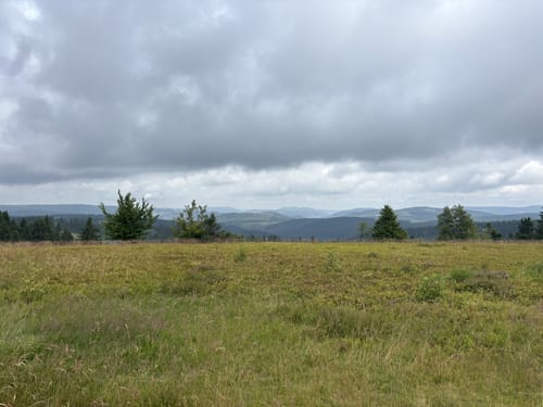 Kahler-Asten-Steig (Premiumwanderweg)