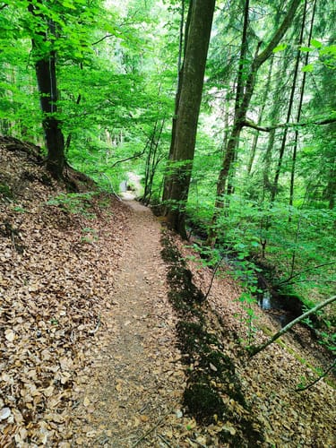 Kräuterweg Neunkirchen-Seelscheid