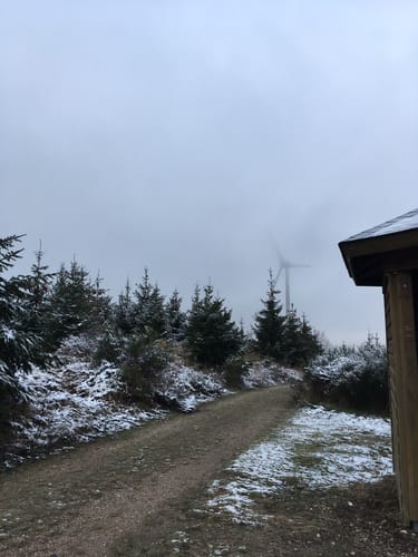 Soonwaldsteig Etappe 5: Rheinböllen - Jägerhaus