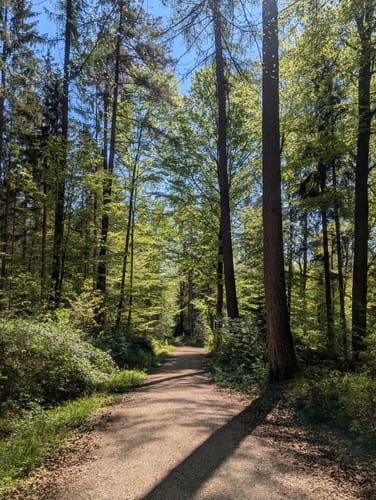 Herrenbachtal Weg